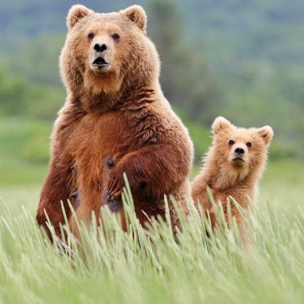 Everything in closet!